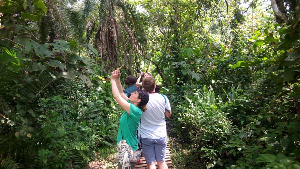 Nature Walks in Kahuzi Biega